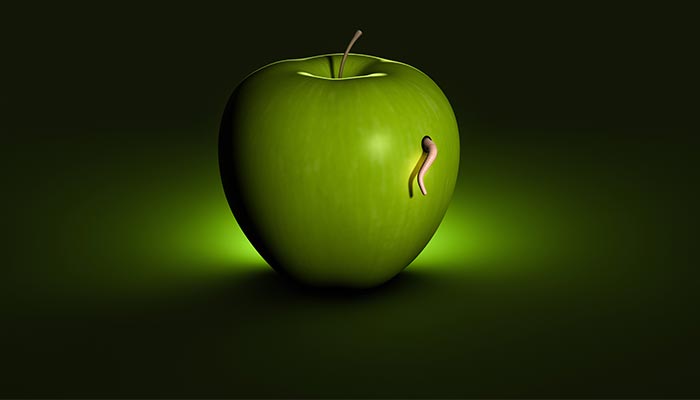 A worm making a wormhole in an apple