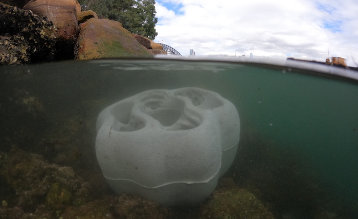 Man-made boulders with rock pools dropped into Sydney Harbour