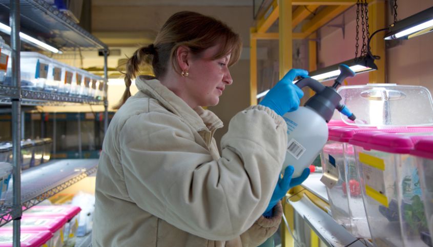 Macquarie University alumna and research assistant Jessica Lewis
