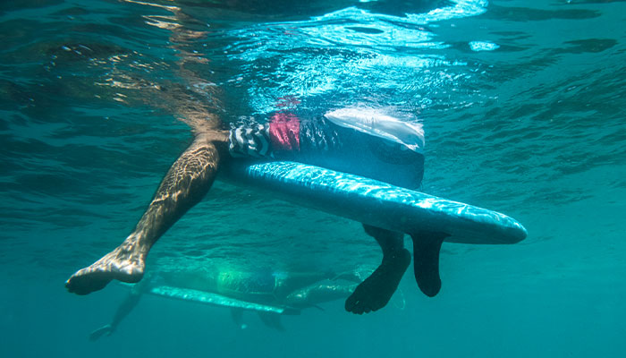 pictures of sharks attacking people