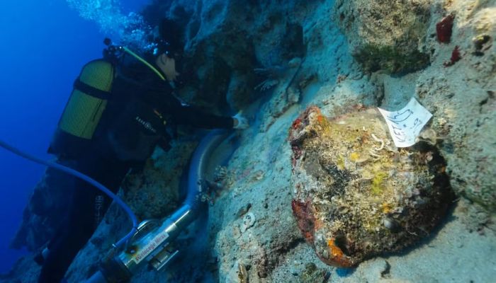 Researchers believe the world's oldest shipwreck has been found
