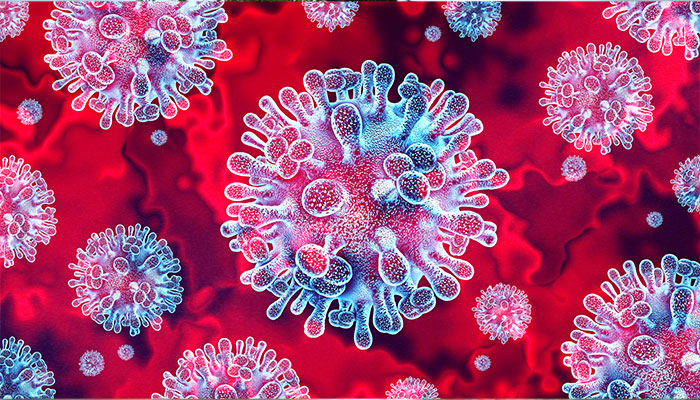 Particle of the nipah virus