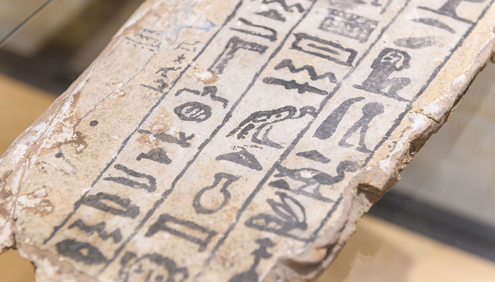 Hieroglyphs Fragment History Museum Macquarie University