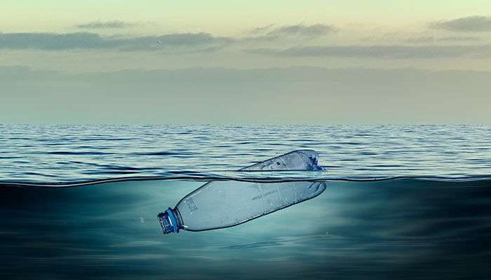 Message in a bottle: plastic kills plankton