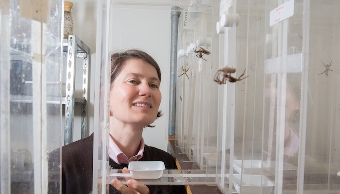 Spider researcher Professor Mariella Herberstein