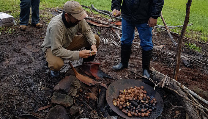 Black beans being prepared by Indigenous people in NSW