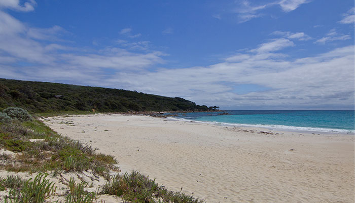 Bunker Bay, where one of the 15 people killed in WA shark attacks since 2000 died. 