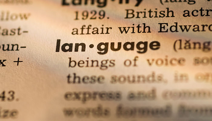 Language in the dictionary